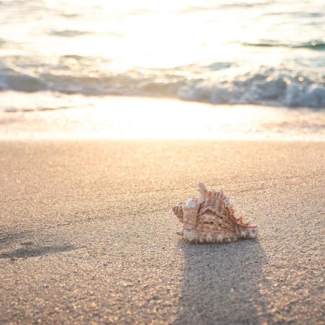 Omezení provozu v době dovolené